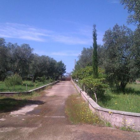 Villa Rustica Nardò Exteriör bild