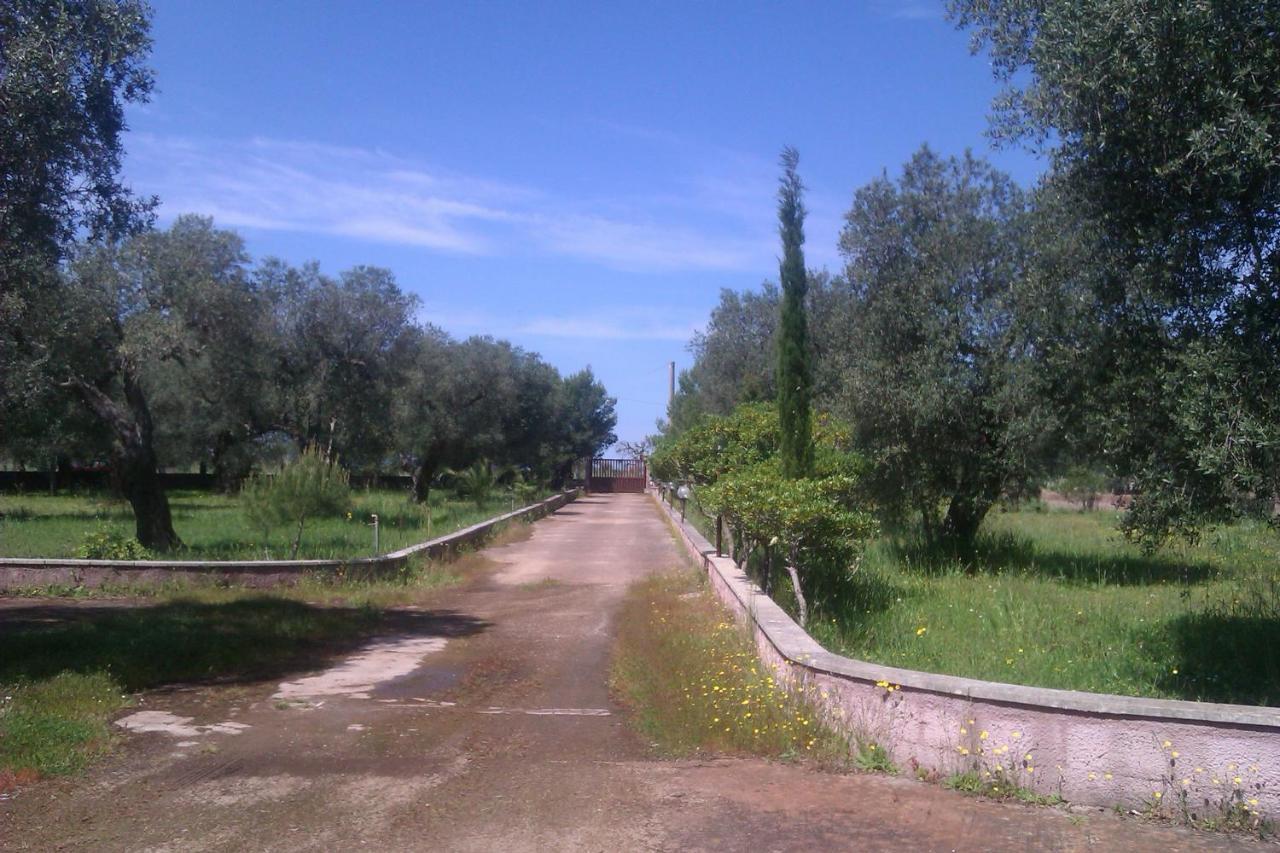 Villa Rustica Nardò Exteriör bild